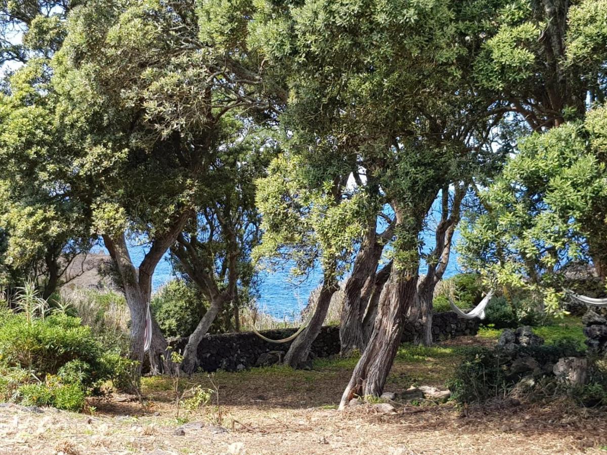 Quinta Da Falesia - Casa Branca Ponta Delgada  Luaran gambar